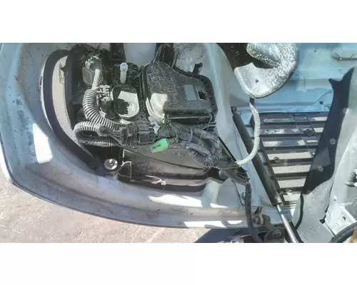 FREIGHTLINER M2 106 2008-2024 HOOD
