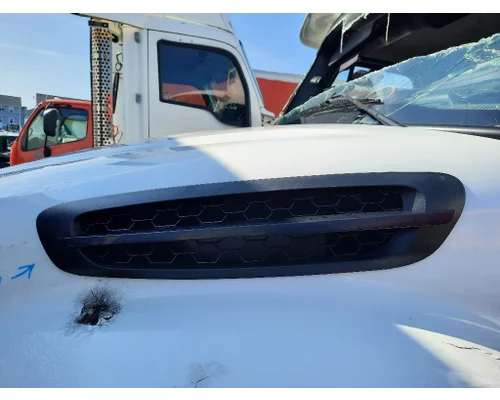 FREIGHTLINER M2 106 AIR INTAKE LOUVERCOVER