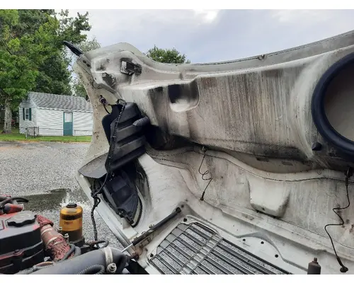 FREIGHTLINER M2 106 HOOD