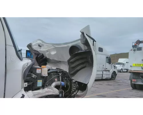 FREIGHTLINER M2 106 HOOD