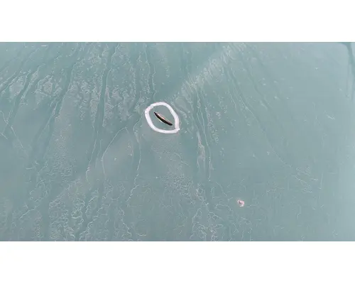 FREIGHTLINER M2 106 HOOD