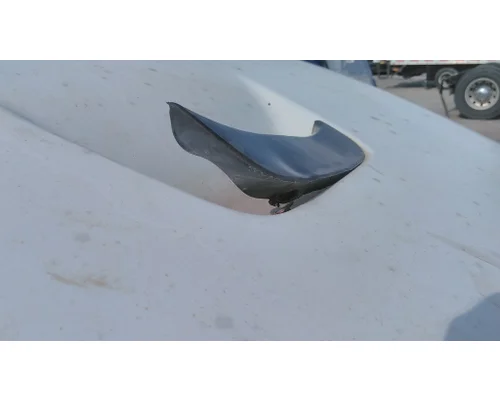 FREIGHTLINER M2 106 HOOD
