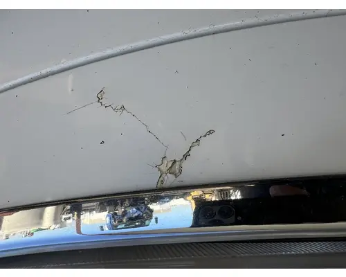 FREIGHTLINER M2 106 Hood