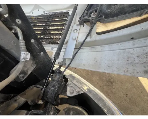 FREIGHTLINER M2 106 Hood