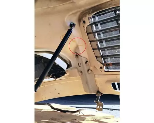 FREIGHTLINER M2 106 Hood