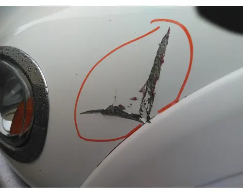 FREIGHTLINER M2 112 2003-2025 HOOD