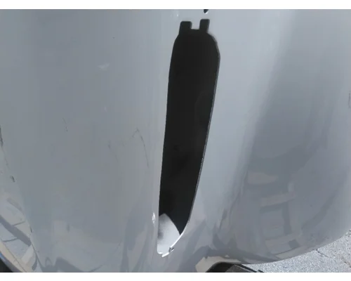 FREIGHTLINER M2 112 2003-2025 HOOD
