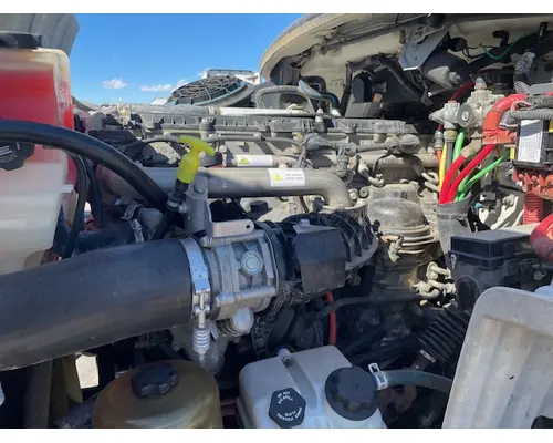 FREIGHTLINER M211264ST Vehicle For Sale