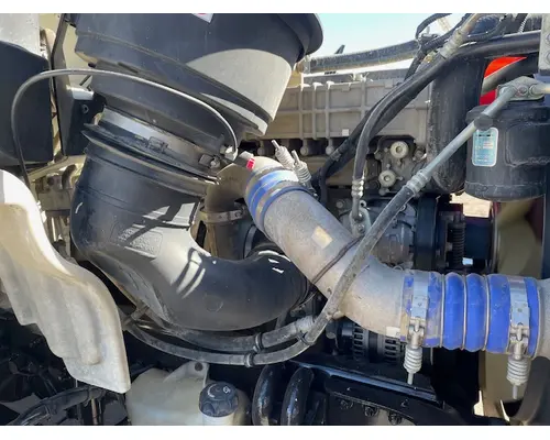 FREIGHTLINER M211264ST Vehicle For Sale