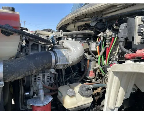 FREIGHTLINER M211264ST Vehicle For Sale