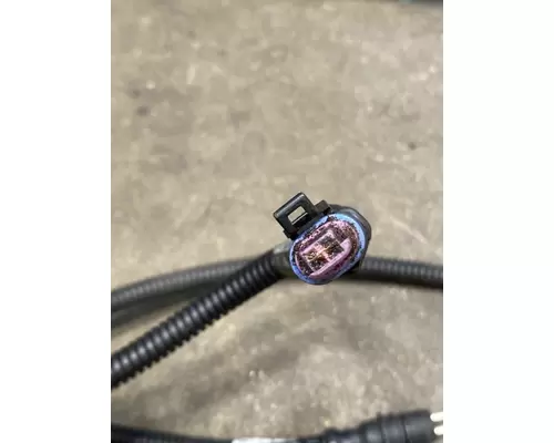 FREIGHTLINER MT 55 Chassis Wiring Harness