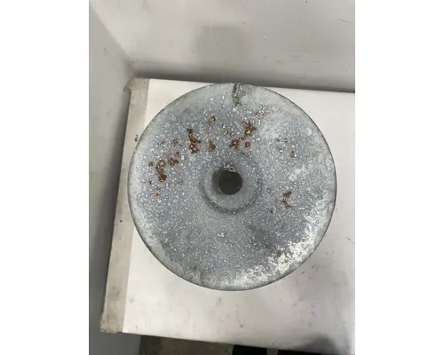 FREIGHTLINER MT55 Air Cleaner