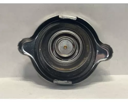 FREIGHTLINER MT55 Radiator