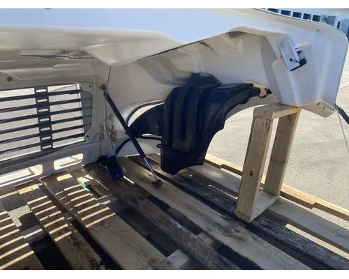 FREIGHTLINER  Hood