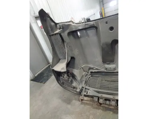 FREIGHTLINER  Hood