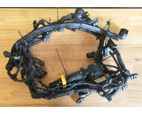 FREIGHTLINER  Wire Harness, Transmission