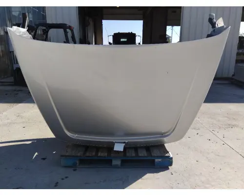 Hood FORD A9513 1996-1998 LKQ Thompson Motors - Wykoff