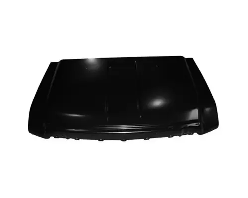 Hood FORD F150 SERIES LKQ Western Truck Parts