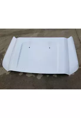 Ford F450 SUPER DUTY Hood