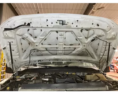 Ford F450 SUPER DUTY Hood