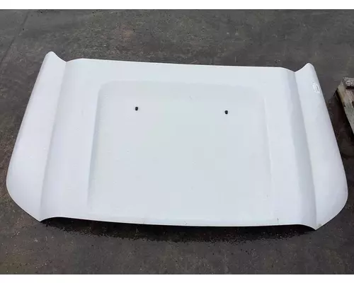 Ford F450 SUPER DUTY Hood