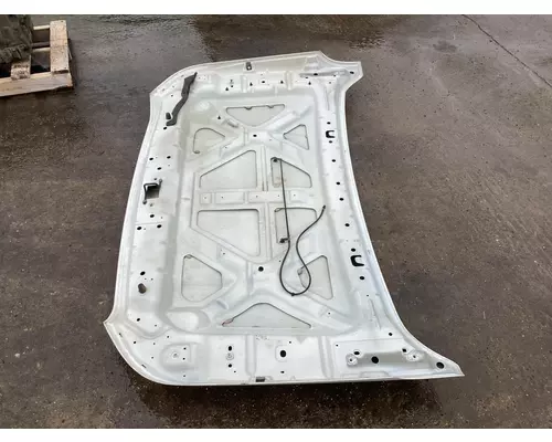 Ford F450 SUPER DUTY Hood