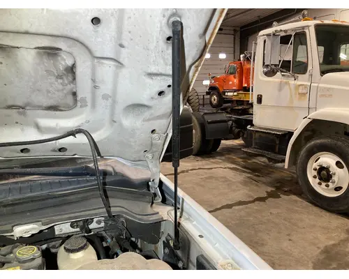 Ford F550 SUPER DUTY Hood Shock