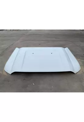 Ford F550 SUPER DUTY Hood