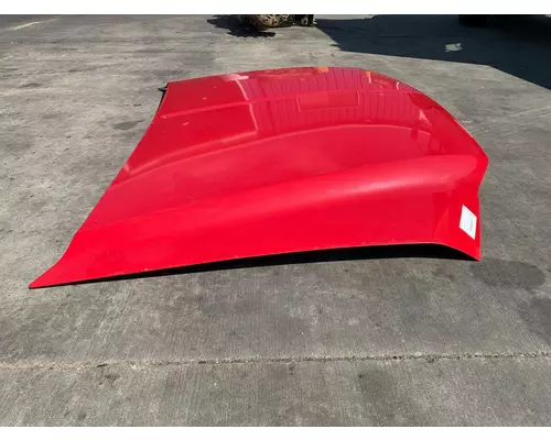 Ford F550 SUPER DUTY Hood