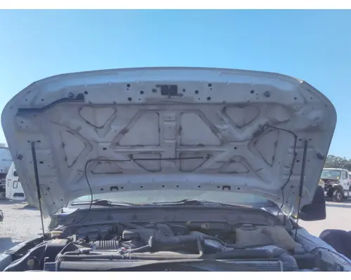 Hood FORD F550SD (SUPER DUTY) LKQ Heavy Truck - Tampa