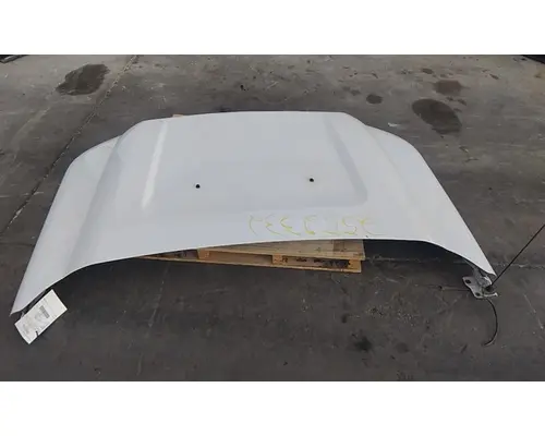 Hood FORD F550SD (SUPER DUTY) LKQ Western Truck Parts