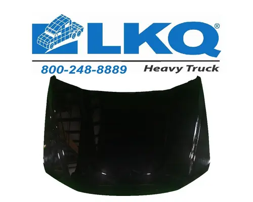 Hood FORD F550SD (SUPER DUTY) LKQ Evans Heavy Truck Parts