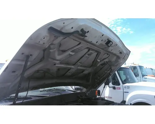Hood FORD F550SD (SUPER DUTY) LKQ Heavy Truck - Goodys