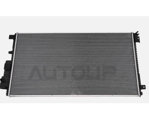 Radiator FORD F550SD (SUPER DUTY) LKQ Heavy Truck - Goodys
