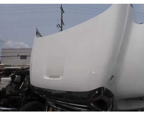 Hood FORD F650 Michigan Truck Parts