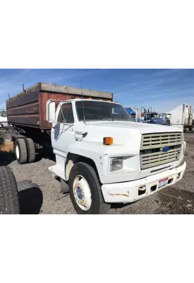 Ford F800 Door Assembly, Front