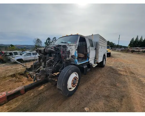 Door Assembly, Rear Or Back FORD F800 Crest Truck Parts