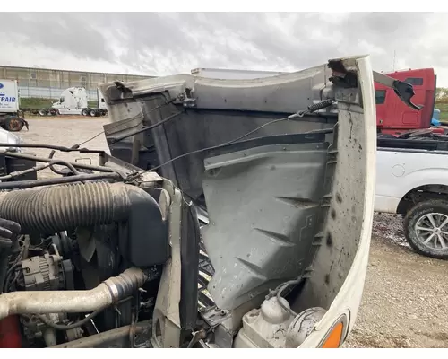 Ford F800 Hood