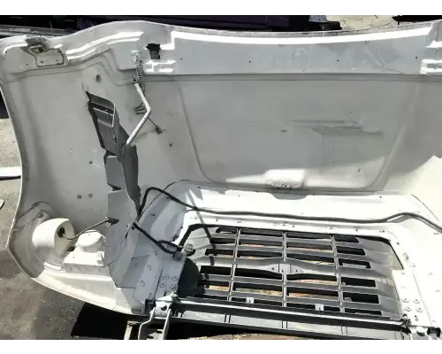 Ford F800 Hood