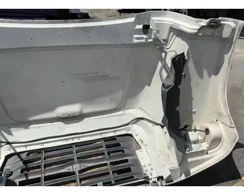 Ford F800 Hood