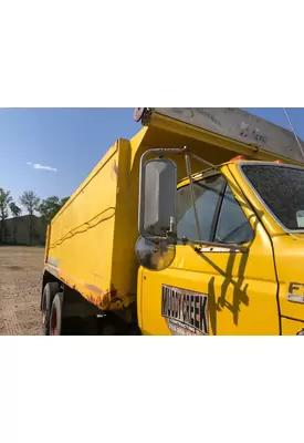 Ford F900 Door Mirror