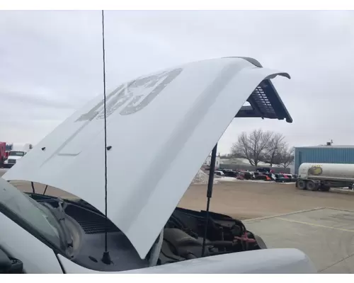 Ford FORD F550SD PICKUP Hood