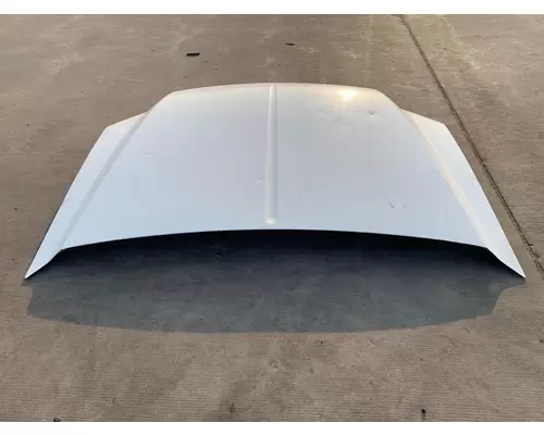 Ford FORD F550SD PICKUP Hood