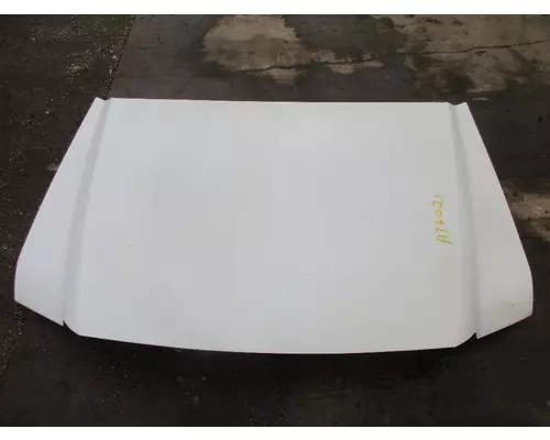 Hood FORD FORD F450SD PICKUP Michigan Truck Parts