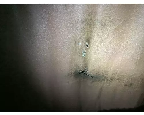 Freightliner CASCADIA Cab Misc. Interior Parts