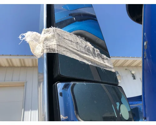 Freightliner CASCADIA Door Mirror