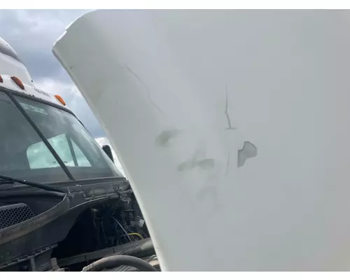 Freightliner CASCADIA Hood