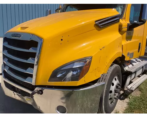 Freightliner CASCADIA Hood