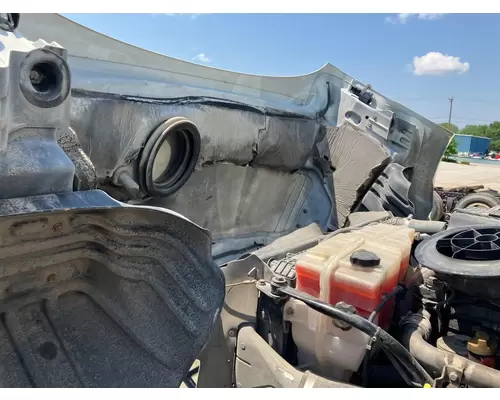 Freightliner CASCADIA Hood