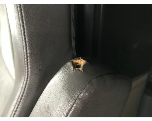 Freightliner CASCADIA Seat (Air Ride Seat)